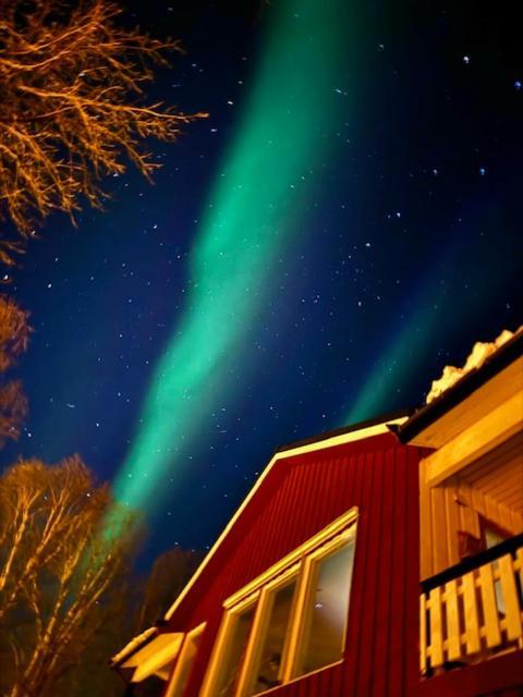 Bed And Breakfast Nordic Horn Brostadbotn Luaran gambar